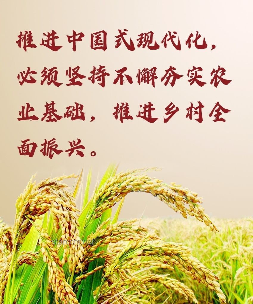 袁老歌声中的农业科技与行业展望：以《歌唱祖国》为镜
